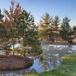 Northern Landscaping, Lawn Maintenance, Landscaping, Pond Landscaping, Backyard Pond